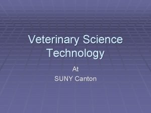 Veterinary Science Technology At SUNY Canton Veterinary Science