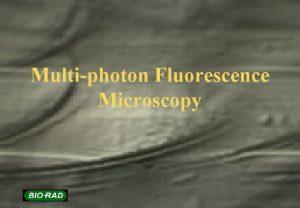 Multiphoton microscopy principle