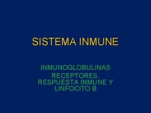 SISTEMA INMUNE INMUNOGLOBULINAS RECEPTORES RESPUESTA INMUNE Y LINFOCITO