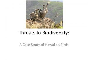 Threats to biodiversity a case study of hawaiian birds