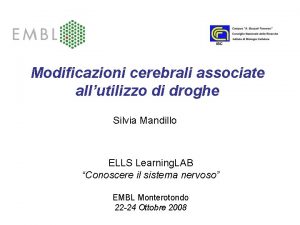 Modificazioni cerebrali associate allutilizzo di droghe Silvia Mandillo