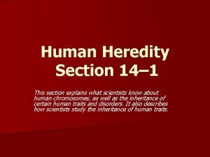 Section 14-1 human heredity