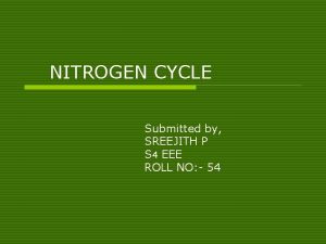 Ammonification wikipedia