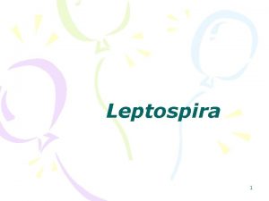 Leptospira 1 Vlastnosti Spirlovit tvar iv pohybliv Hkovit