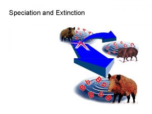 Speciation and Extinction Recall that the three fundamental