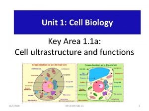 Unit 1 Cell Biology Key Area 1 1