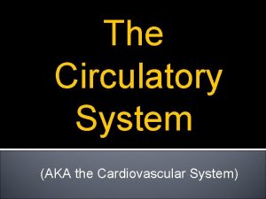 3 parts of the circulatory system
