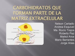 CARBOHIDRATOS QUE FORMAN PARTE DE LA MATRIZ EXTRACELULAR