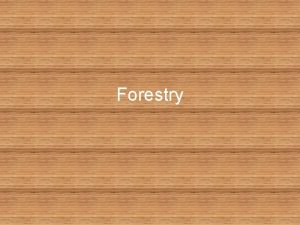 Forestry What is Sustainable Forestry Sustainable means to