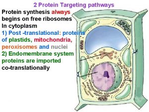Protein targeting pathways