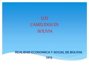 LOS CAMELIDOS EN BOLIVIA REALIDAD ECONOMICA Y SOCIAL