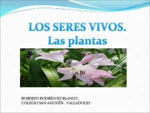 Las plantas respiran