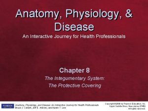 Anatomy Physiology Disease An Interactive Journey for Health