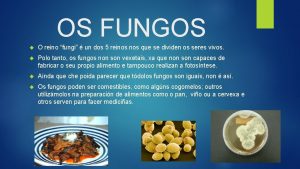 Fungiun Fungiun