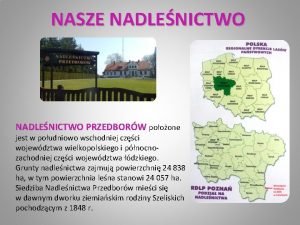 NASZE NADLENICTWO PRZEDBORW pooone jest w poudniowo wschodniej