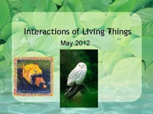 Living things 20
