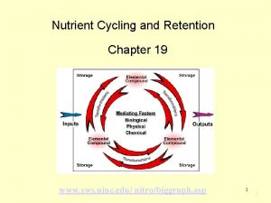 Nutrient Cycling and Retention Chapter 19 www sws