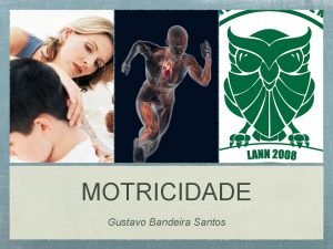 MOTRICIDADE Gustavo Bandeira Santos INTRODUO Somtica Voluntria Meio