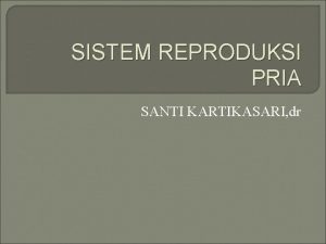 SISTEM REPRODUKSI PRIA SANTI KARTIKASARI dr Sistem Reproduksi