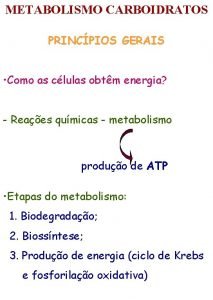 Metabolismo