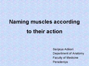 Naming muscles according to their action Sanjaya Adikari