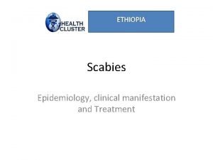 Scabies clinical manifestation