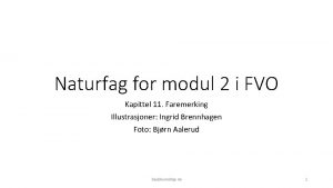 Naturfag for modul 2 i FVO Kapittel 11