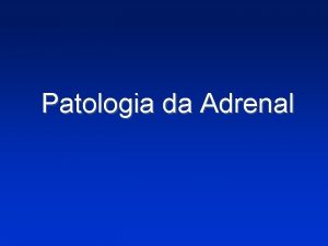 Patologia da Adrenal ADRENAL ADRENAL ADRENAL ADRENAL ADRENAL