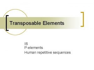 Transposable Elements IS Pelements Human repetitive sequences Prokaryotes