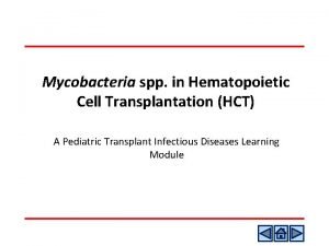 Mycobacteria spp in Hematopoietic Cell Transplantation HCT A