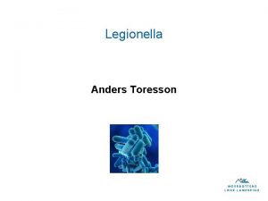 Legionella Anders Toresson Legionella Pneumophilia LP r en