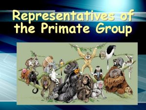 Prosimian primates