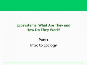 What is the role of decomposers in the ecosystem?