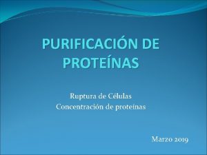 PURIFICACIN DE PROTENAS Ruptura de Clulas Concentracin de