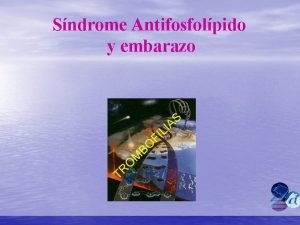 Sndrome Antifosfolpido y embarazo Anticuerpos AntiFosfolpidos La primera