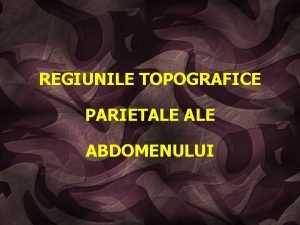 Regiunile topografice ale abdomenului