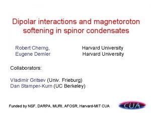 Dipolar interactions and magnetoroton softening in spinor condensates