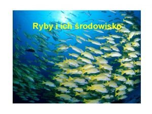 Ryby i ich rodowisko Ryby 25 000 gatunkw