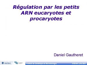 Rgulation par les petits ARN eucaryotes et procaryotes