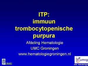 ITP immuun trombocytopenische purpura Afdeling Hematologie UMC Groningen