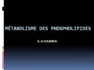 MTABOLISME DES PHOSPHOLIPIDES S A HAMMA INTRODUCTION 1