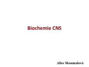 Biochemie CNS Alice Skoumalov Nervov tk 1 Neurony