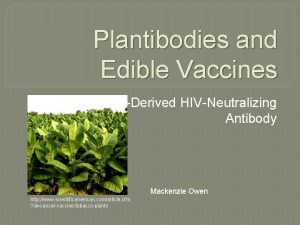 Plantibodies and Edible Vaccines TobaccoDerived HIVNeutralizing Antibody Mackenzie