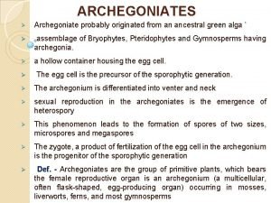 Unifying features of archegoniates Unifying features of archegoniates