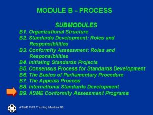 MODULE B PROCESS SUBMODULES B 1 Organizational Structure