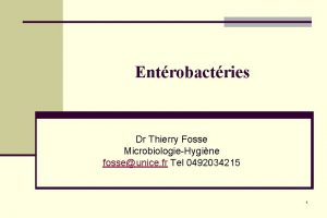 Entrobactries Dr Thierry Fosse MicrobiologieHygine fosseunice fr Tel