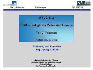 BP 01 Pflanzen Vorlesungen WS 201516 BP 01