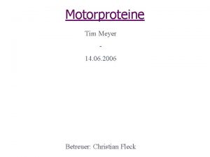 Motorproteine Tim Meyer 14 06 2006 Betreuer Christian