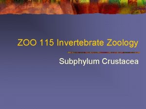 ZOO 115 Invertebrate Zoology Subphylum Crustacea Arthropoda Subphylum