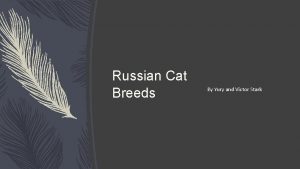 Types of russian cats